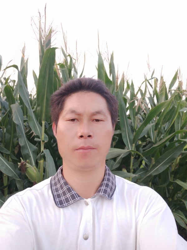 四海游龙的第二张照片--湖北王婆说媒